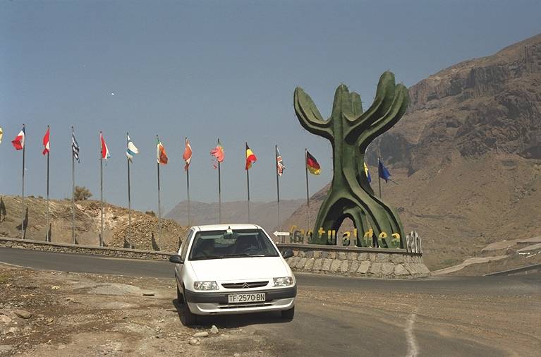 Cactumaldea in Cran Canaria