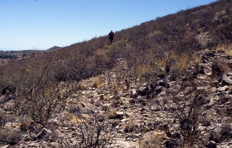 Standort bei San Luis de Palqui