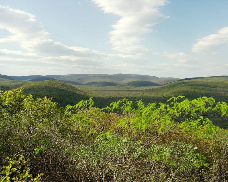 prominent feature of the Chaco plain is the Cerro Leon