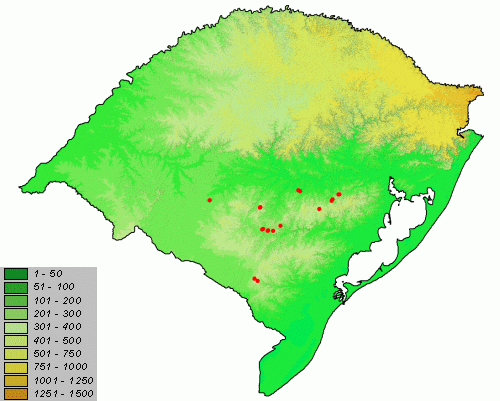 Rio Grande do Sul - Brasilia