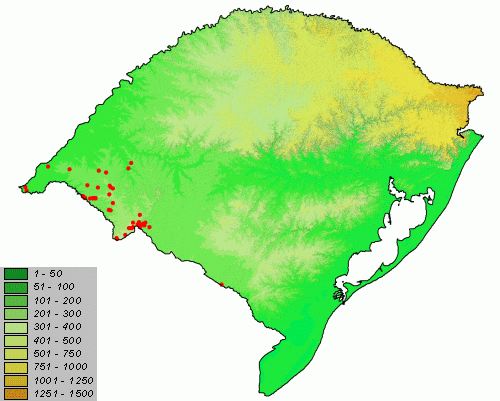 Rio Grande do Sul - Brasilia