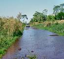 Fahrt in das Pantanal